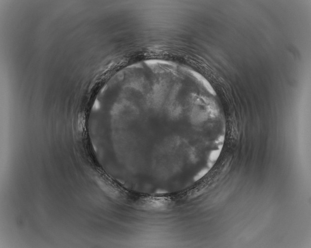 X0000112200711200909181533