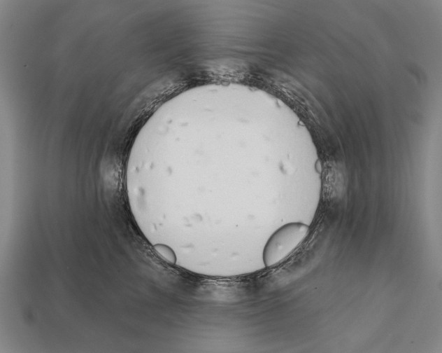 X0000112200713200909181533