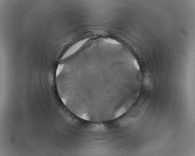 X0000112200715200909181533