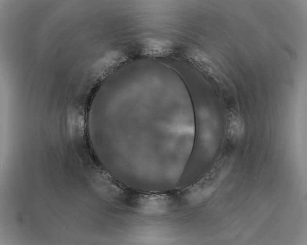 X0000112200716200909181533