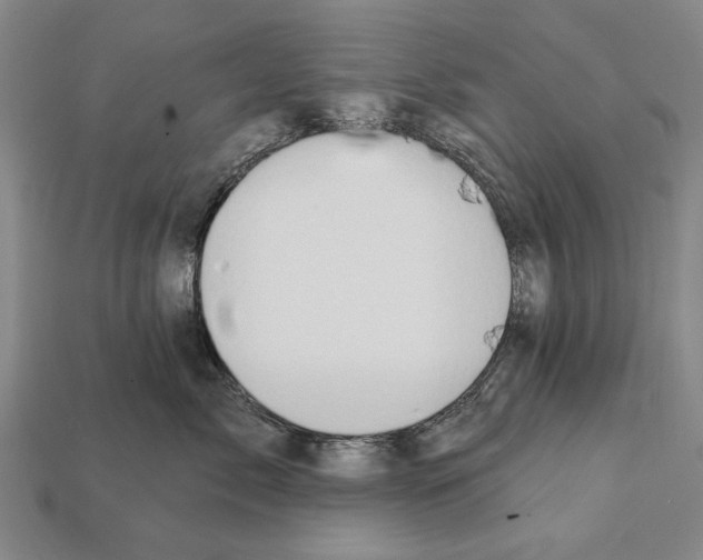 X0000112200717200909181533