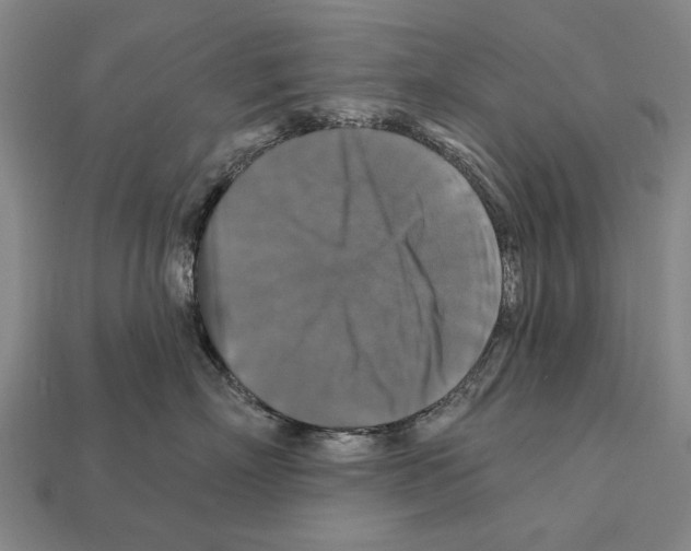 X0000112200718200909181533