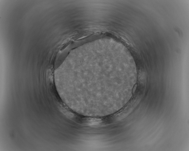 X0000112200719200909181533