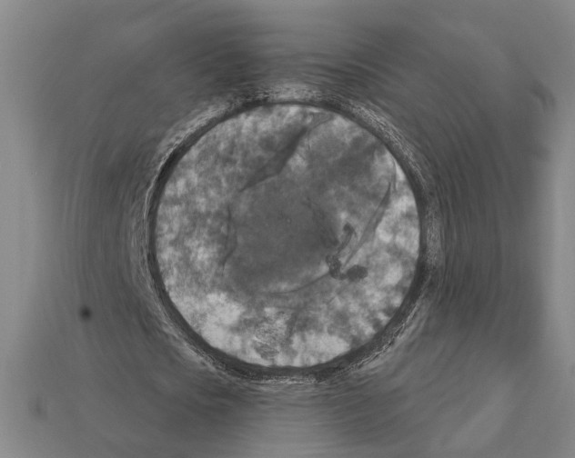 X0000112200721200909181532