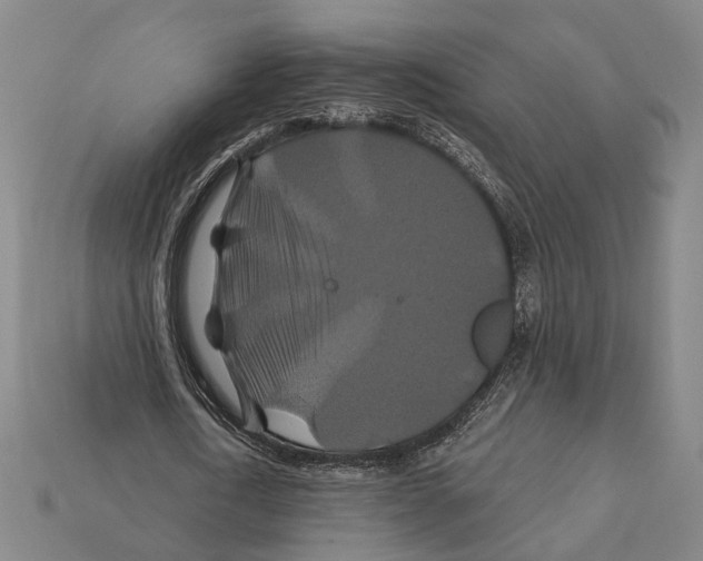 X0000112200722200909181533