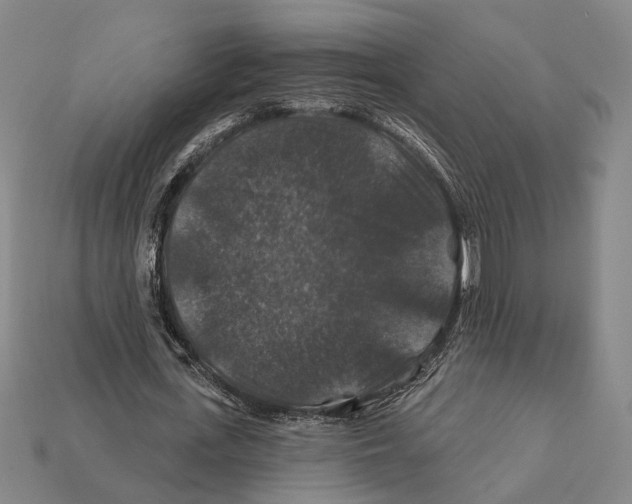 X0000112200723200909181533