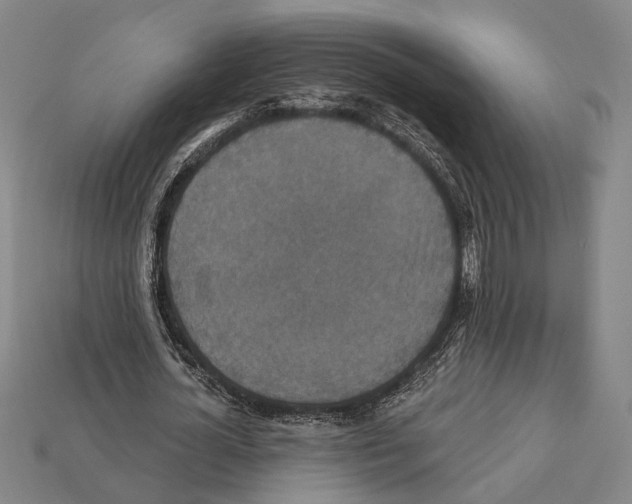 X0000112200724200909181533
