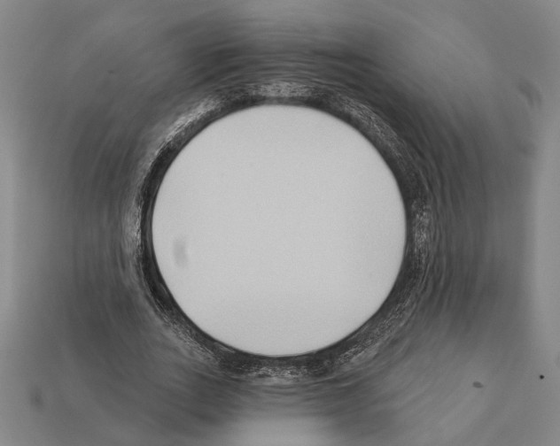 X0000112200727200909181533