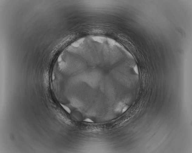 X0000112200729200909181533