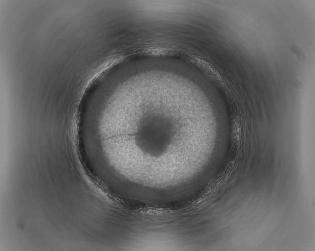 X0000112200730200909181533