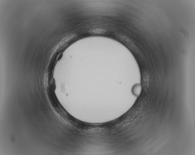 X0000112200734200909181533