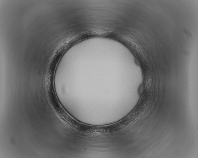 X0000112200736200909181533