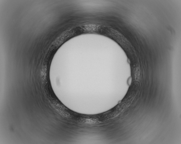 X0000112200737200909181533