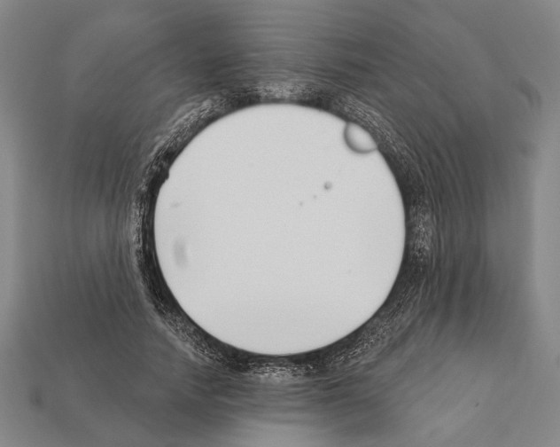 X0000112200738200909181533