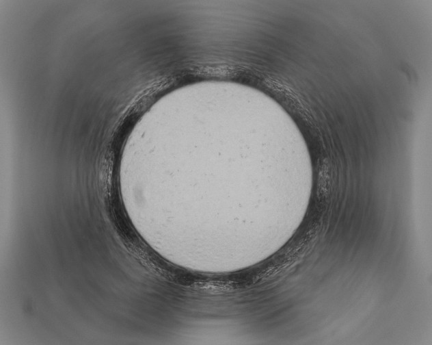 X0000112200739200909181533