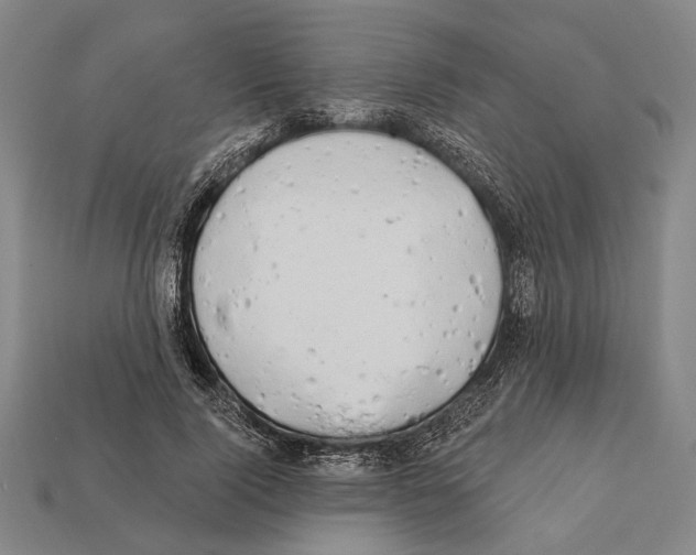 X0000112200740200909181533