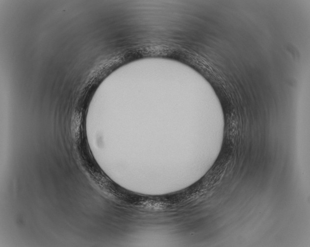 X0000112200742200909181533