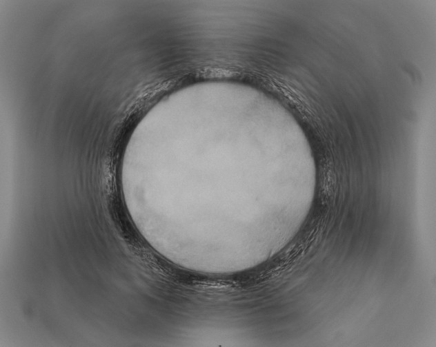 X0000112200743200909181533