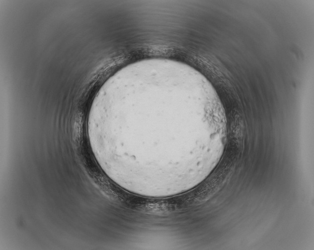 X0000112200744200909181533