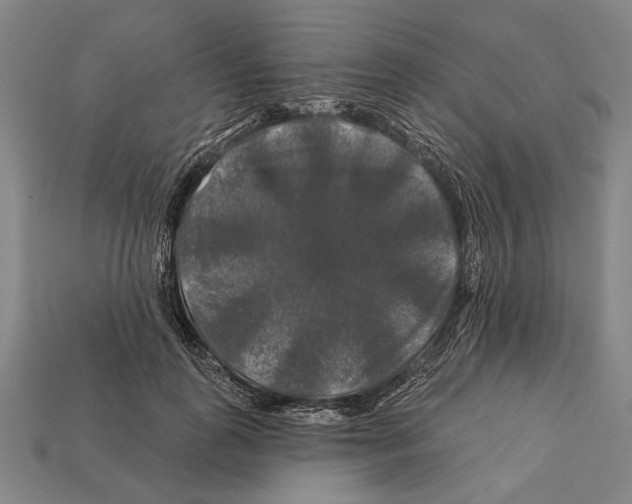 X0000112200747200909181533