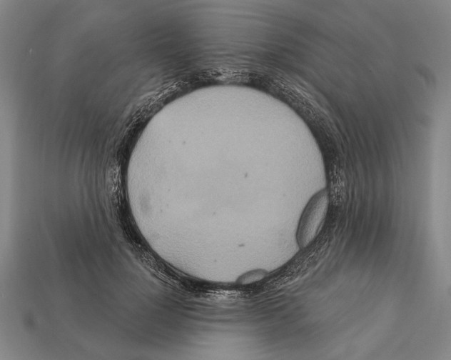 X0000112200748200909181533