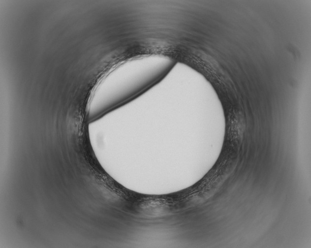 X0000112200750200909181533