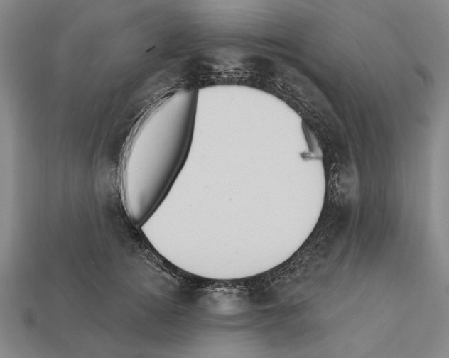 X0000112200756200909181533