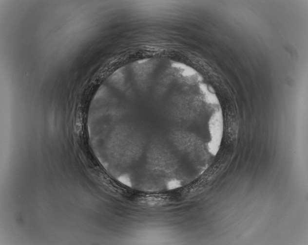 X0000112200758200909181533