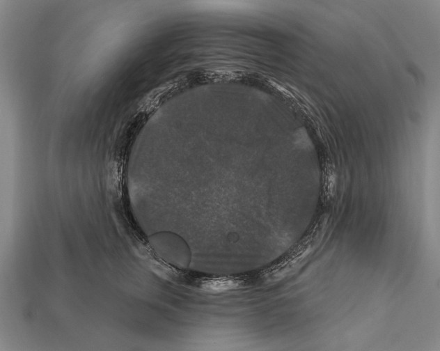 X0000112200759200909181533