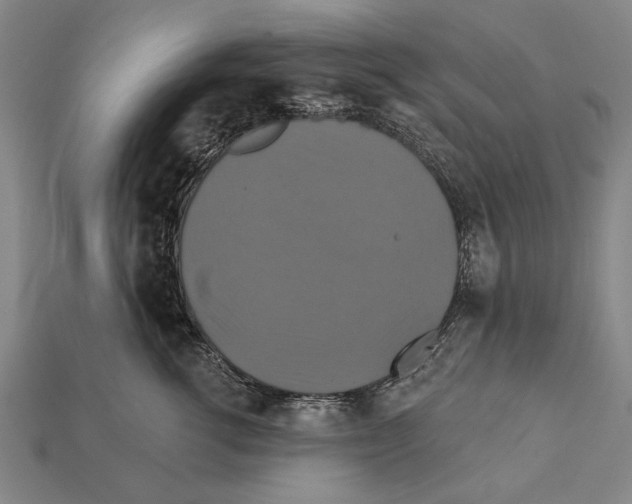X0000112200762200909181533