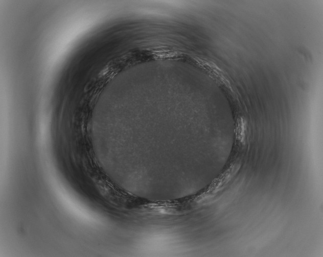 X0000112200763200909181533