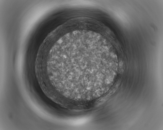 X0000112200765200909181533