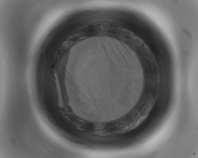 X0000112200766200909181533