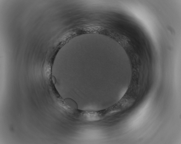 X0000112200767200909181533