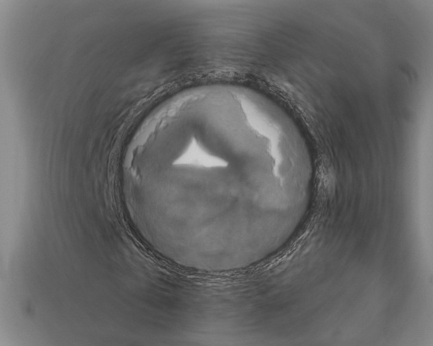X0000112200769200909181532
