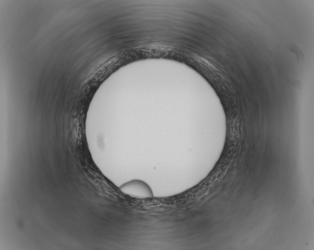 X0000112200774200909181532