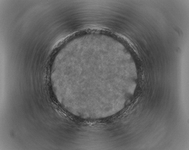 X0000112200775200909181532