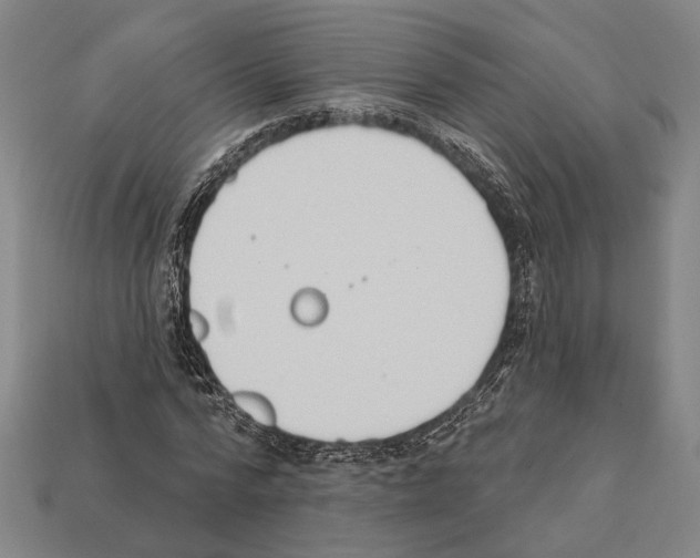 X0000112200776200909181532