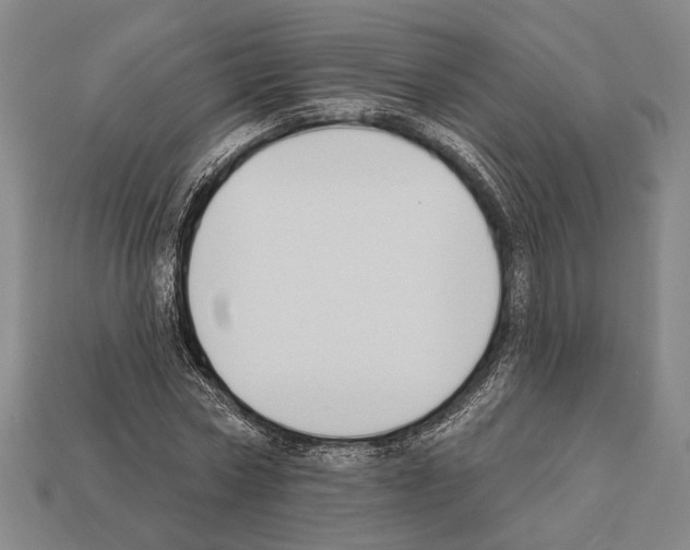 X0000112200778200909181532