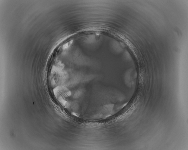 X0000112200779200909181532