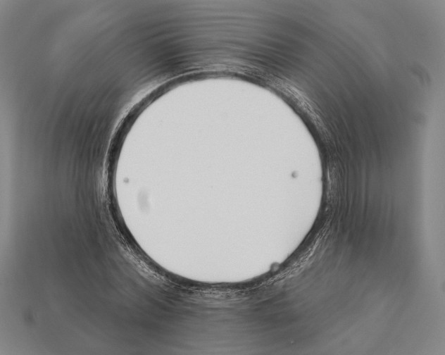 X0000112200780200909181532