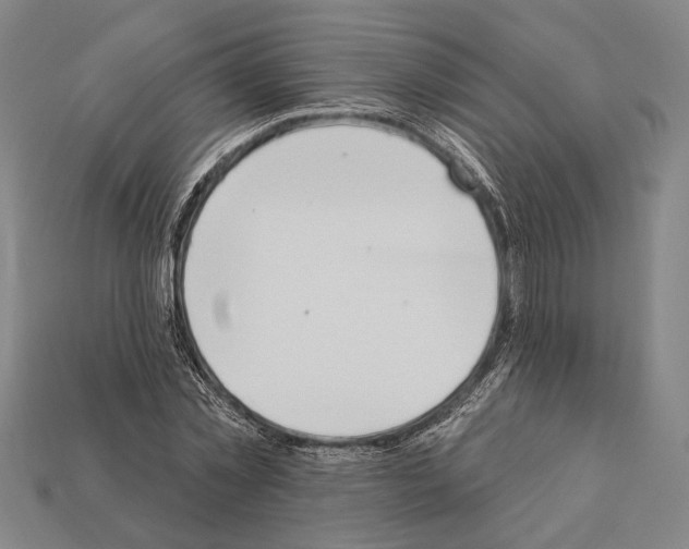 X0000112200781200909181532