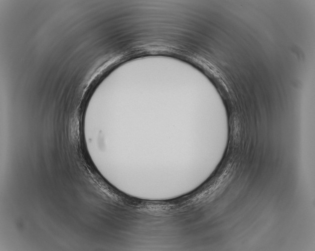 X0000112200782200909181532