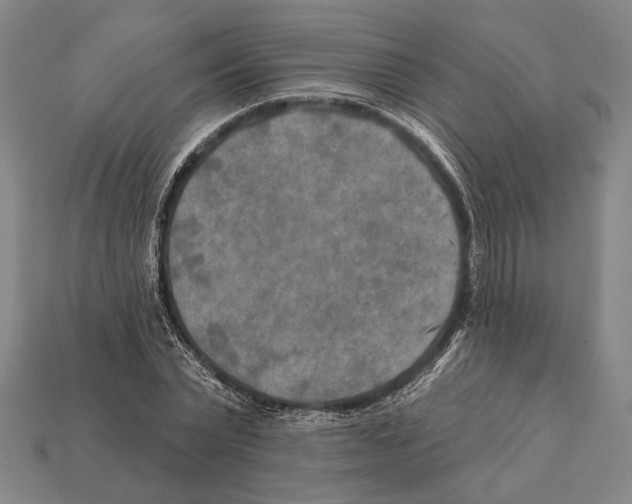 X0000112200783200909181532