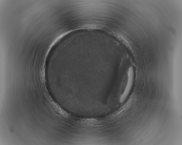 X0000112200784200909181532