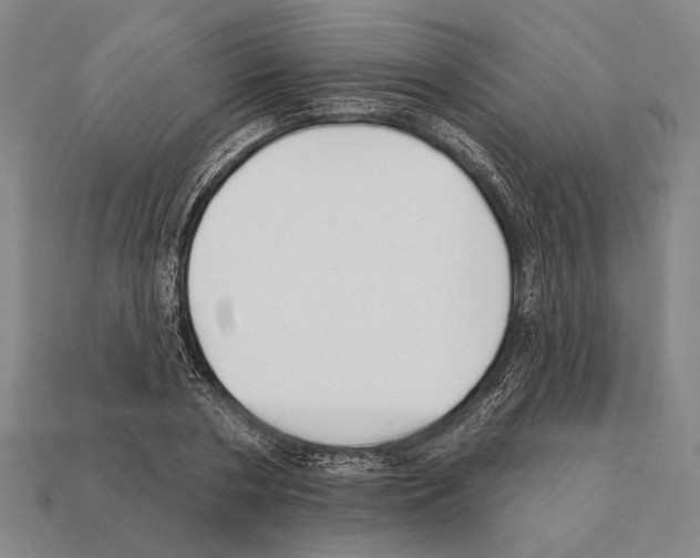 X0000112200786200909181532