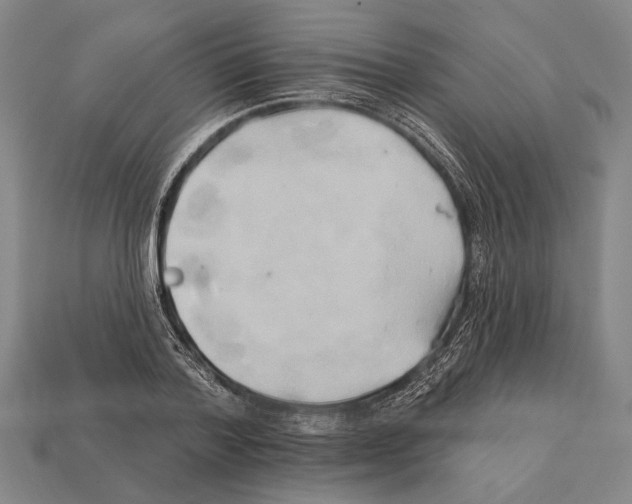 X0000112200788200909181532
