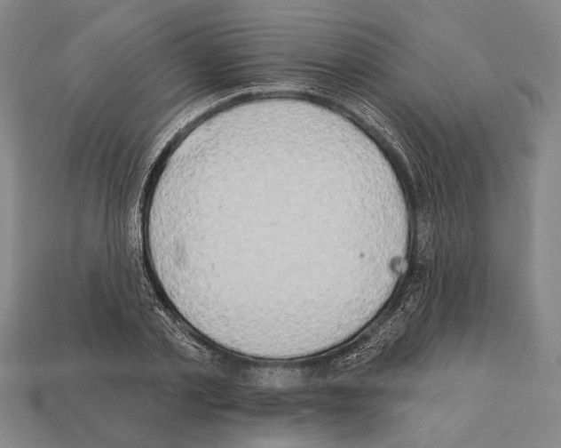 X0000112200789200909181532