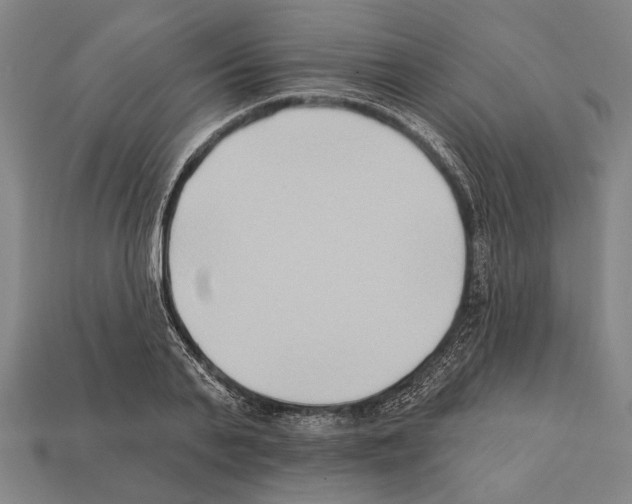 X0000112200791200909181532