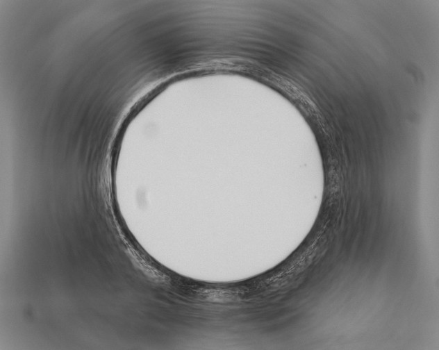 X0000112200792200909181532